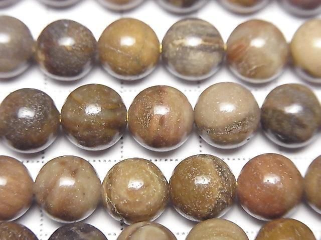 [Video]Petrified Wood Round 8mm half or 1strand beads (aprx.15inch/37cm)
