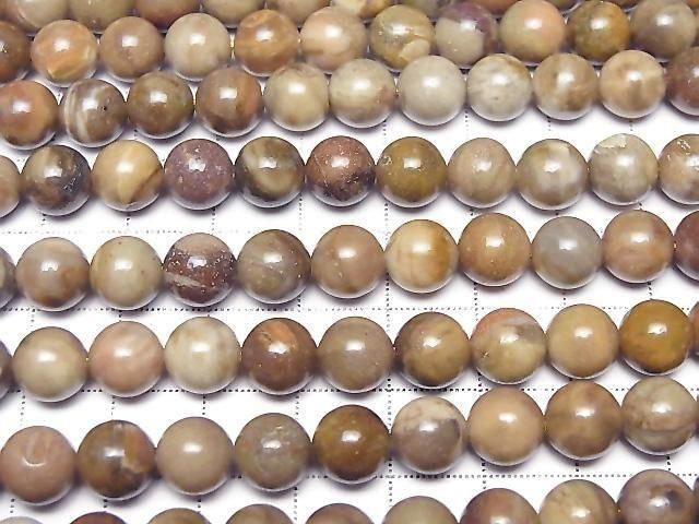 [Video]Petrified Wood Round 8mm half or 1strand beads (aprx.15inch/37cm)
