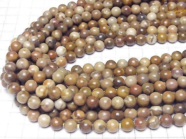 [Video]Petrified Wood Round 8mm half or 1strand beads (aprx.15inch/37cm)