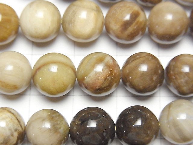 [Video]Petrified Wood Round 10mm half or 1strand beads (aprx.15inch/37cm)