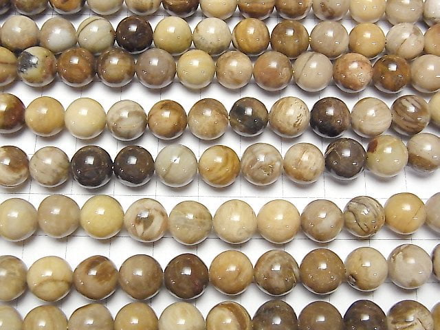 [Video]Petrified Wood Round 10mm half or 1strand beads (aprx.15inch/37cm)