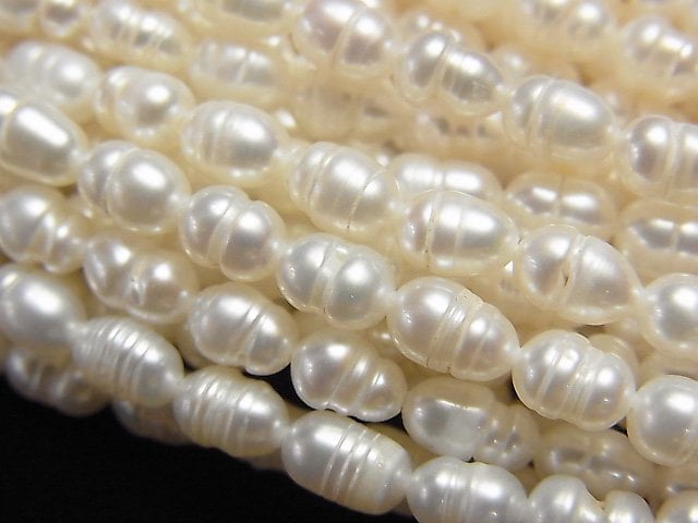 Pearl, Rice Pearl & Shell Beads