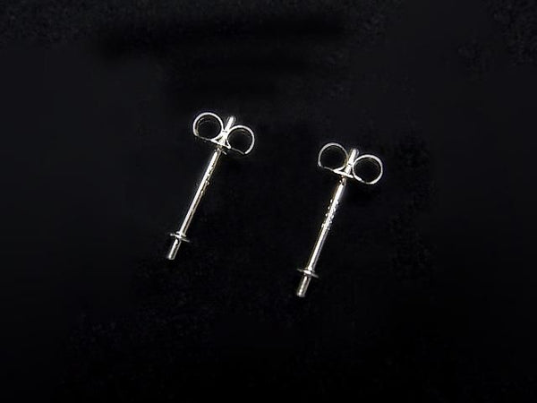 Platinum [PT900] Direct-Connect Earstuds & Earnuts with Plates, 1 Pair