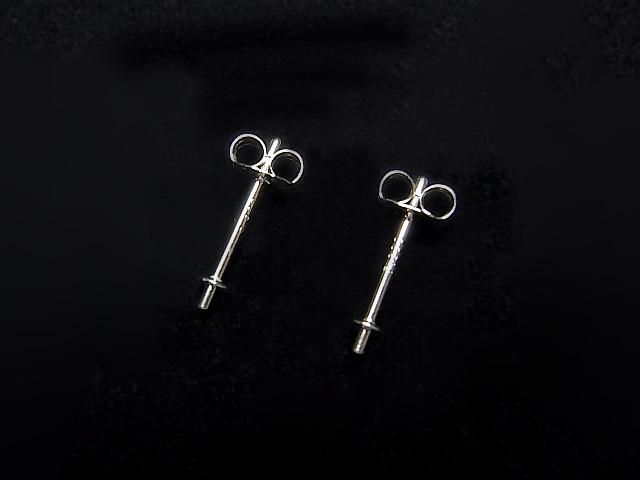Platinum [PT900] Direct-Connect Earstuds & Earnuts with Plates, 1 Pair