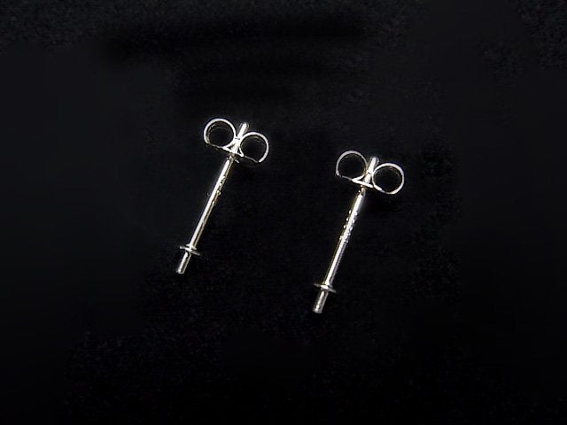 Platinum [PT900] Direct Earstuds & Earnuts with Plate 1pair