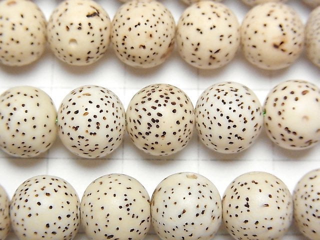 [Video] Linden Seed Beads Round (Semi Round )10mm half or 1strand beads (aprx.13inch/33cm)