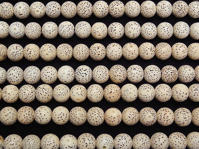 [Video] Linden Seed Beads Round (Semi Round )10mm half or 1strand beads (aprx.13inch/33cm)