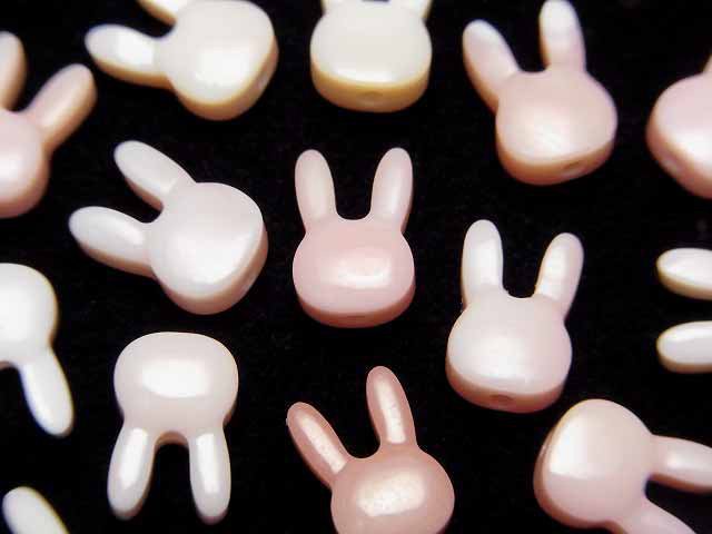 Mother of Pearl (Shell Beads), Other Shape Pearl & Shell Beads