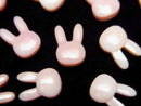 Mother of Pearl (Shell Beads), Other Shape Pearl & Shell Beads
