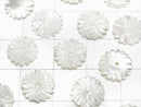 [Video]Mother of Pearl MOP White Flower (Marguerite) 10mm Central hole 4pcs