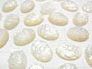 [Video] High Quality White Shell Carved Oval Cabochon 18x13mm 1pc
