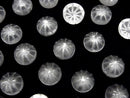 [Video]High Quality Crystal AAA Carved Round Cabochon 10x10mm 3pcs