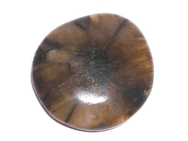 Cabochon, Chiastolite, One of a kind One of a kind
