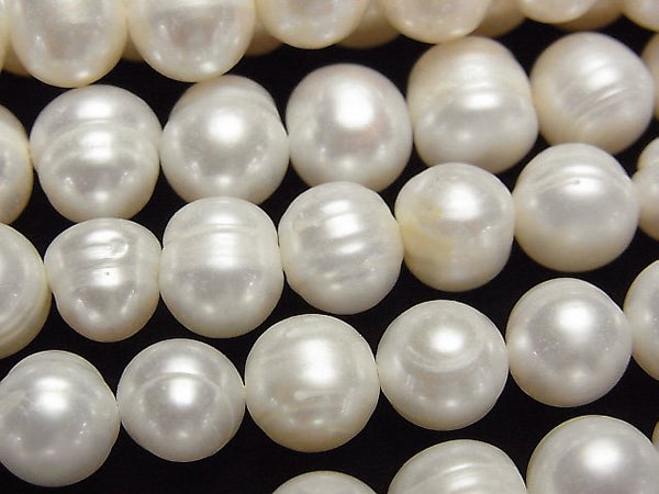 Pearl, Potato Pearl & Shell Beads