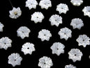 [Video]Mother of Pearl MOP White Flower 8mm Center Hole 4pcs