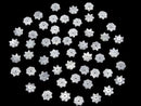 [Video]Mother of Pearl MOP White Flower 8mm Center Hole 4pcs