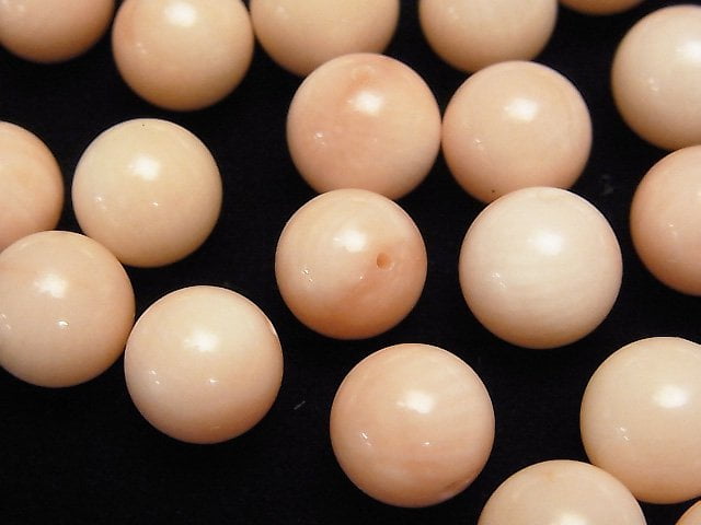 Coral Natural Beads