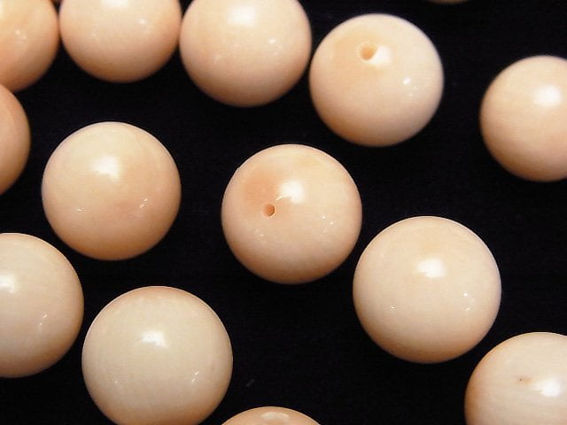 Coral Natural Beads