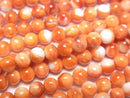 Mother of Pearl (Shell Beads) Pearl & Shell Beads