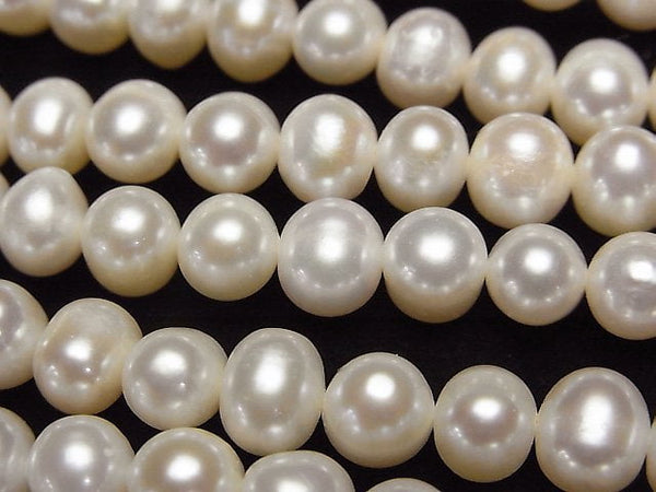 Pearl Pearl & Shell Beads