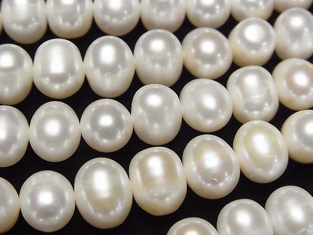 Pearl Pearl & Shell Beads