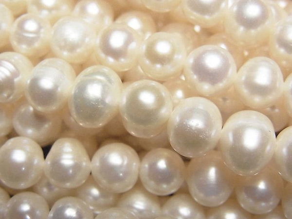 Pearl Pearl & Shell Beads