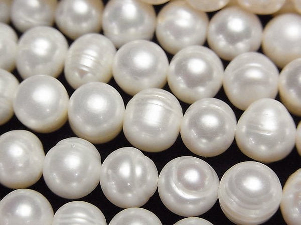 Pearl Pearl & Shell Beads