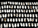 [Video]Wild Horse Pear shape (Smooth) 12x5mm 1strand (18pcs )