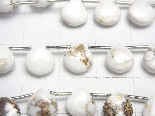 [Video]Wild Horse Chestnut (Smooth) 8x8mm 1strand beads (aprx.6inch/16cm)