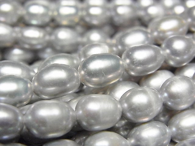 Pearl Pearl & Shell Beads