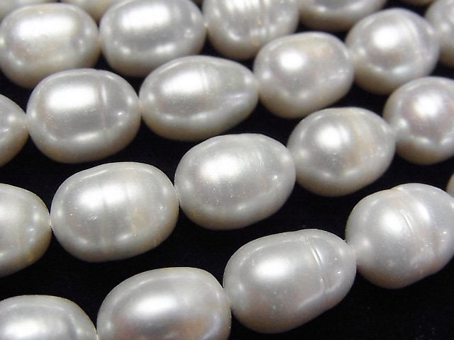 Pearl Pearl & Shell Beads