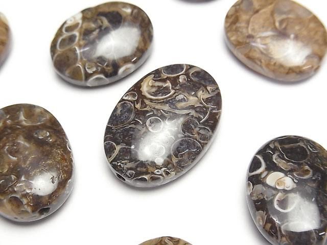 [Video] Fossil Clinoid Nugget [Drilled Hole] [Large Size] 3pcs