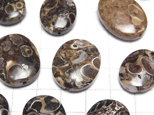 [Video] Fossil Clinoid Nugget [Drilled Hole] [Large Size] 3pcs