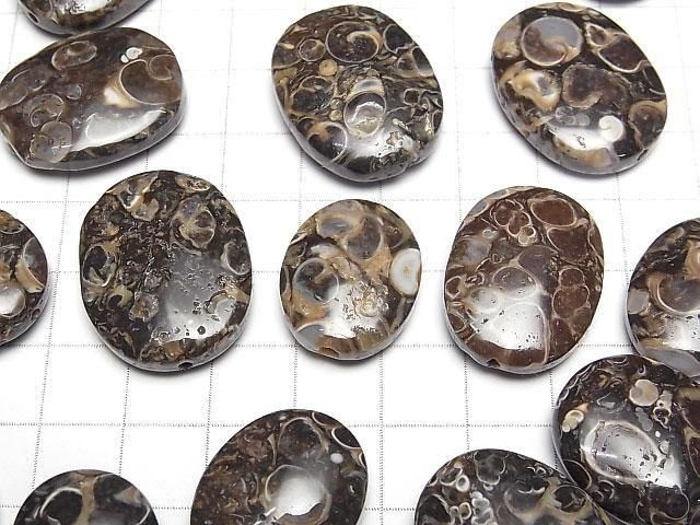 [Video] Fossil Clinoid Nugget [Drilled Hole] [Large Size] 3pcs