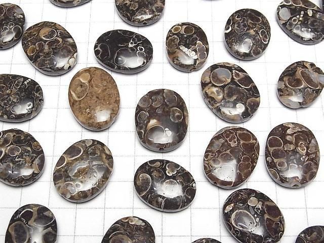 [Video] Fossil Clinoid Nugget [Drilled Hole] [Large Size] 3pcs