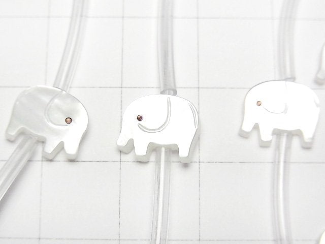 [Video] High quality white Shell AAA elephant shape 10x9mm half or 1strand (Approx 14pcs)