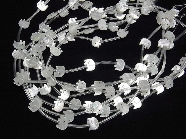 [Video] High quality white Shell AAA elephant shape 10x9mm half or 1strand (Approx 14pcs)