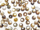 Mother of Pearl (Shell Beads) Pearl & Shell Beads