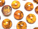 [Video] Cracked Baltic Amber Round Cabochon 14x14mm 1pc