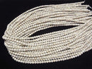 [Video] Linden seed beads Round (Semi Round) 6mm half or 1strand beads (aprx.23inch/58cm)
