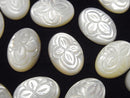 Mother of Pearl (Shell Beads) Pearl & Shell Beads