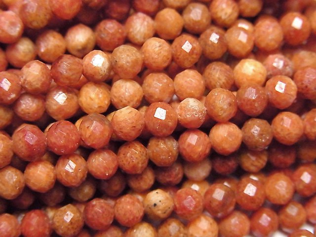 Coral Natural Beads