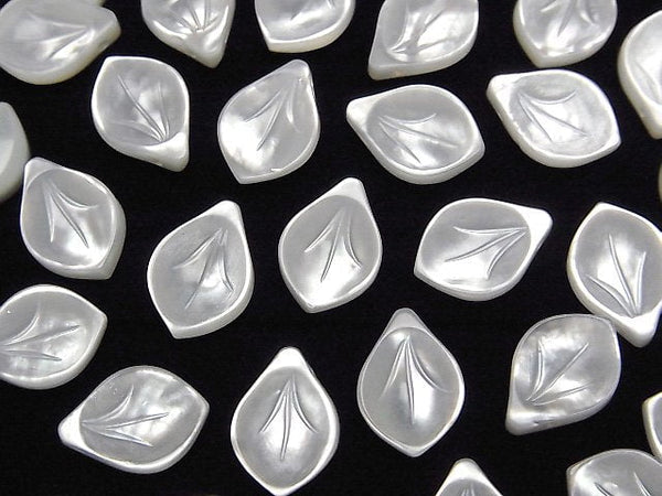 [Video] High Quality White Shell (Silver-lip Oyster) AAA Flower (Petal) 12x8mm 2pcs