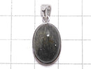 [Video][One of a kind] Actinolite in Quartz AAA Pendant Silver925 NO.10