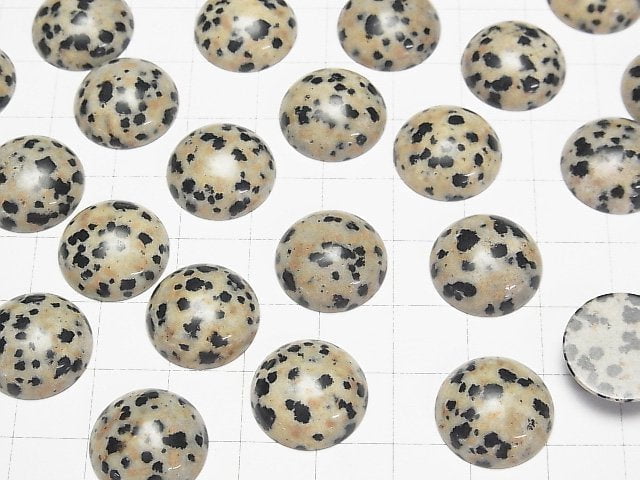 [Video] Dalmatian Jasper Round Cabochon 16x16mm 3pcs