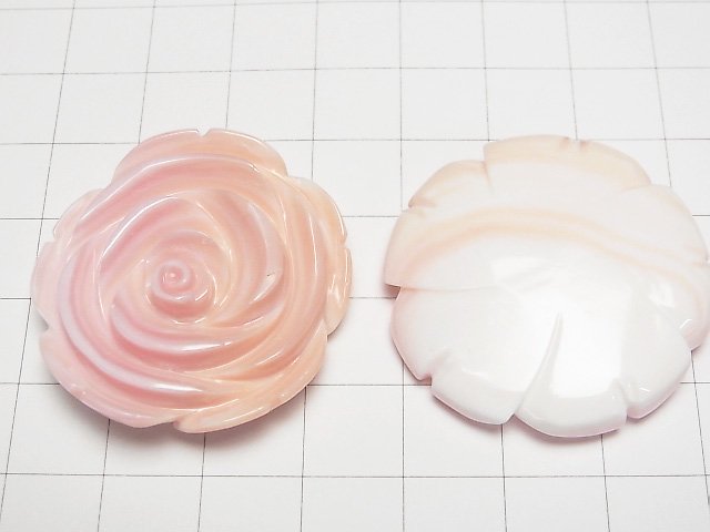 [Video] Queen Conch Shell AAA Undrilled 35mm 1pc