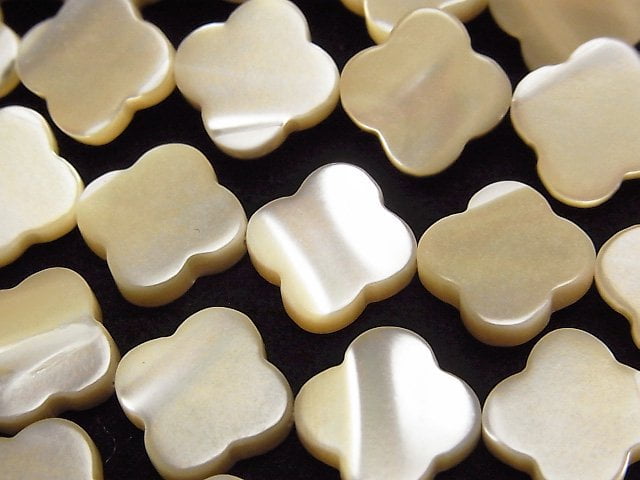 Mother of Pearl (Shell Beads) Pearl & Shell Beads