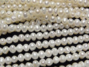 Pearl Pearl & Shell Beads