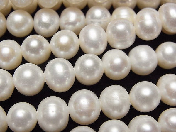 Pearl Pearl & Shell Beads