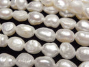 Pearl Pearl & Shell Beads